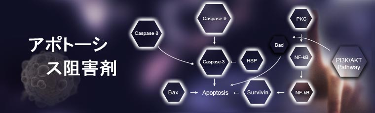 Apoptosis Inhibitors
