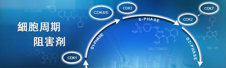 Cell Cycle Inhibitors