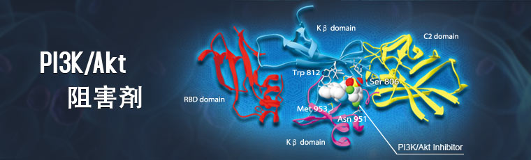 PI3K/Akt Inhibitors